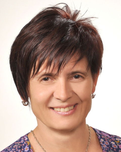 nezhodova 2012